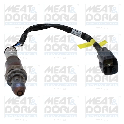 Oxygen Sensor
